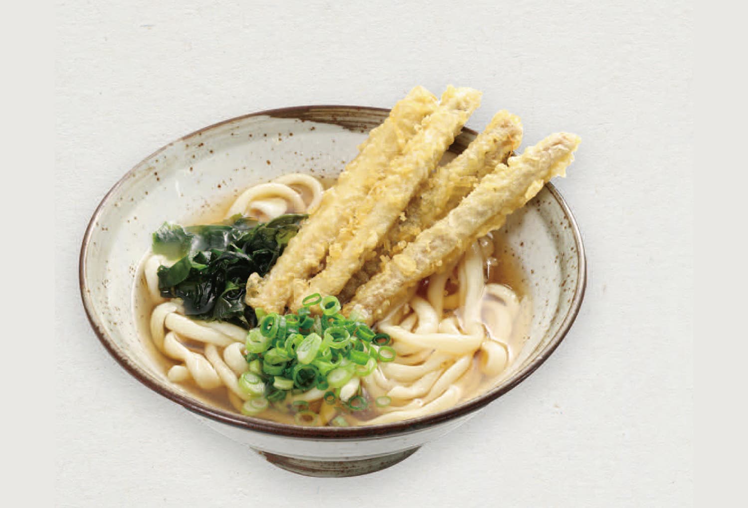 Burdock tempura udon(soba) noodles