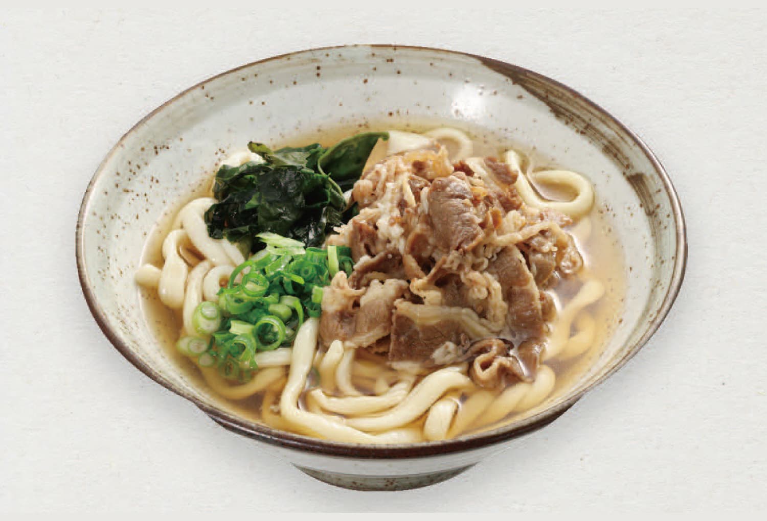 Udon(soba) with cooked meat